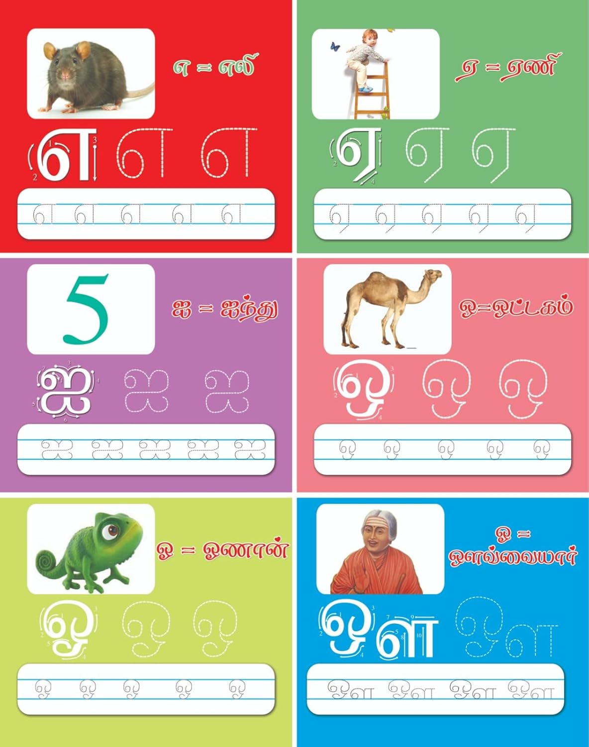 Reusable Handwriting Books (Set of 5) -  தமிழ், English, Numbers, Maths and Drawing